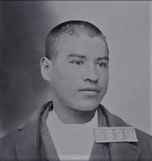 Preston Castle History