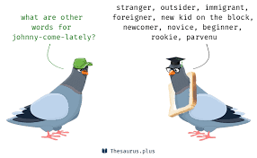Words Johnny Come Lately And Parvenu Are Semantically Related Or Have Similar Meaning
