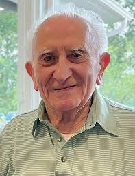 Obituary information for Domenico Virginillo