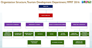 tourism and development department organisation chart