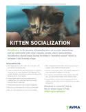 Socialization Of Dogs And Cats American Veterinary Medical