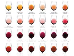 complete wine color chart download wine folly