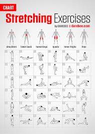 Stretching Exercises Chart By Darebee In 2020 Workout Chart Stretching Exercises Flexibility Workout