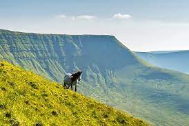 On the outskirts of the village of brynteg and a few miles from the popular seaside village of benllech with its range of amenities and renowned blue flag beach. 13 Top Rated Tourist Attractions In South Wales Uk Planetware