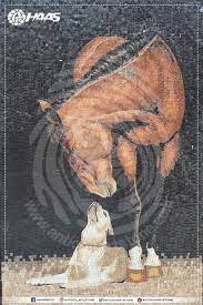 animals panosundaki pin