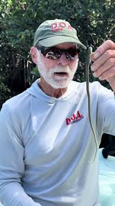 Doalures.com Mark showing us the Sna-koil. A super versatile lure that can  be used for any fish. It makes a great bass worm, it imitates a worm hatch  for snook, reds, tarpon and trout. It looks like ...