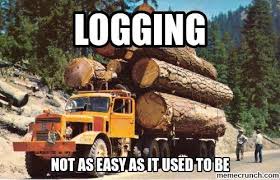 Maybe you would like to learn more about one of these? T N T Tree Service Home Facebook