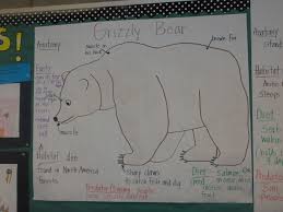 Bear Unit Grizzly Bear Pictorial Input Chart Grizzly Bear