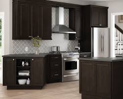 The clean and contemporary design is brought throughout the entire space including the light gray quartz countertops. Dark Kitchen Cabinets Kitchen The Home Depot