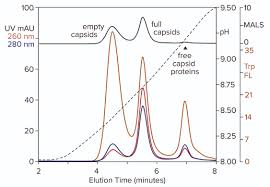 Image result for White 1995 AAV