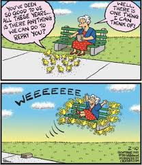 Flying High (Credit to Bill Whitehead) : r/wholesomememes