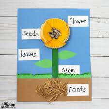 Add your little one's picture to the center of. Parts Of A Flower Craft