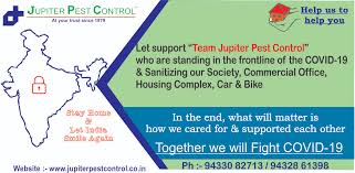 Hindustan pest control is the best pest control in north kolkata. Best Pest Control Services In Kolkata Jupiter Pest Control