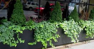 Restaurant Planter Box Garden Seating Restaurant Planters Plants