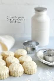 Plain Scone Recipe With Step By Step Photos Eat Little Bird Recipe Scone Recipe Scones Recipe Plain Scones Recipe Easy