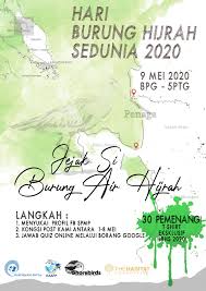 7 мин и 6 сек, битрейт: World Migratory Bird Day Event 2020 Malaysia Shorebirds Peninsular Malaysia Project Eaaflyway