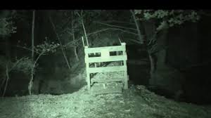 2020 paranormal video 2020 | ghost caught on camera 2020real ghost caught on camera in real life demons caught on. Alien Or Demon Caught On Camera By Cornwall Ghost Hunter At Kennall Vale Wood Cornwall Live