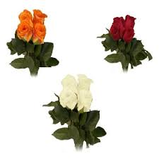 Lowes foods | a surprisingly different grocery store. Flowers At Lowes Foods Instacart