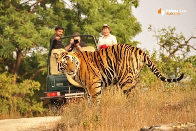 Jaipur to Ranthambore