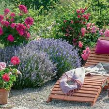 Ideen Mit Lavendel Vom Garten Bis Zur Kuche Garten Mediterraner Garten Garten Ideen