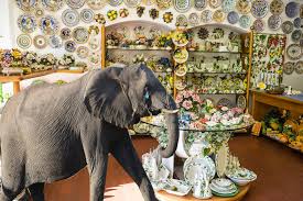 In stoc 1 549 produse in stoc extra reduceri livrare rapida intra pe site. Leider Abgelehnt Elefant Erhalt Keinen Kredit Fur Eroffnung Eines Porzellanladens Univativ