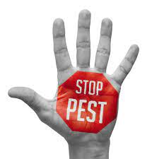 Hire the best pest control services in virginia beach, va on homeadvisor. Universal Pest Termite 30 Photos 37 Reviews Pest Control 1616 Centerville Tpke Virginia Beach Va Phone Number