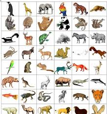 дидактические карточки домашние животные и их детеныши картинки для детей Skachat S Izobrazheniyami Zhivotnye Detskij Sad Temy Kartochki S Zhivotnymi