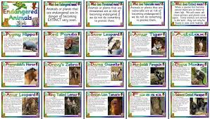Endangered Animals Poster Endangered Animals Facts Endangered Animals Project Endangered Animals