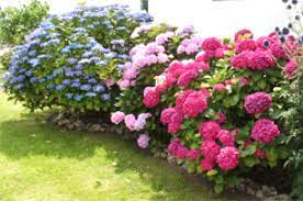 Check spelling or type a new query. Meine 5 Praktischen Tipps Fur Einen Schonen Garten Im August