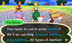 Learn everything you want about animal crossing: Island Tour Animal Crossing Wiki Nookipedia