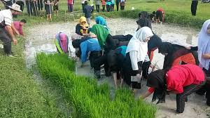 Permohonan kolej vokasional (kv) bagi ambilan januari 2020 telah pun dibuka. Projek Pertanian Pusat Asasi Sains Pertanian