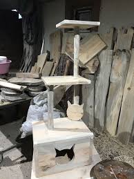 Kedi Tirmanma Standi 2020 Kedi Kedi Evi Tirmanma