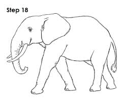 Video belajar menggambar & mewarnai gambar binatang gajah untuk anak sd, tk, paud, pemula | learn to. Cara Mudah Untuk Membuat Gambar Sketsa Gajah