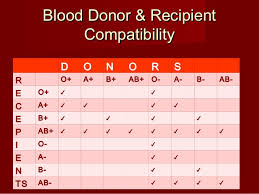 6 Abo And Rh Blood Typing