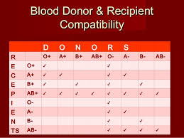 6 abo and rh blood typing