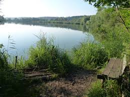 Hotels near europareservat unterer inn, ering on tripadvisor: Natrium Am Inn Ering Frauenstein