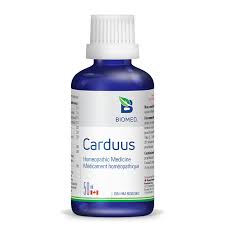 Image result for Carduus
