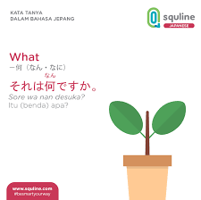 Nihonggo) merupakan bahasa resmi di jepang dan jumlah penutur 125 juta jiwa. Kata Tanya Dalam Bahasa Jepang Squline Com