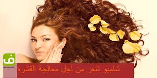 12 نوع شامبو شعر من أجل معالجة القشرة Hair Styles Hair Beauty