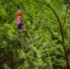 In forest adventure you must protect the teddy bear by avoiding other animals in the forest and the obstacles that you come by! Junges Madchen Auf Einem Zip Line In A Forest Adventure Park Lizenzfreie Fotos Bilder Und Stock Fotografie Image 27294306