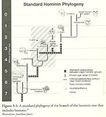 Human Evolution With Christian Eyes