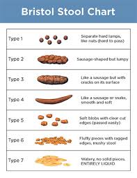 Bristol Stool Chart Cake Fresh Stool Bristol Chart Stool