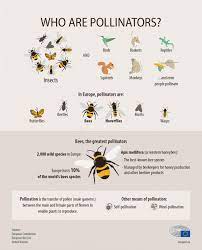 The price of 1 bee token (bee) can roughly be upto $0 usd in 1 years time a x nearly from the current bee token price. How Much Will Bee Crypto Be Worth In 2030