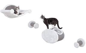 Please be careful with cactus around your cats. Amazon Com Trixie Pet Products Wall Mounted Cat Lounging Set Pet Supplies