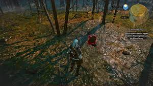 Should I Kill The Tree Spirit At The Whispering Hillock Or Free It? : R/ Witcher3