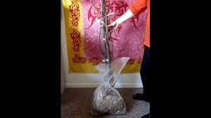 Check spelling or type a new query. Fruit Trees Arrived In The Mail Trees Of Antiquity Homesteading Through Our Eyes Youtube