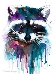 Raccoon Watercolor Painting Print By Slaveika Aladjova Art Animal Illustration Home Decor Nursery Gift Wildlife Wa Art Raccoon Art Raccoon Illustration