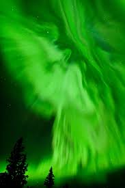 Northern Lights Manitoba Canada Northern Lights Aurora Borealis Northern Lights Riding Mountain National Park