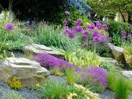 Pflanzen Furs Kiesbeet Schone Arten Die Trockenheit Vertragen Kiesbeet Mediterraner Garten Garten Pflanzen