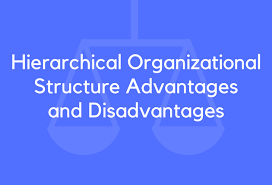 15 hierarchical organizational structure advantages and